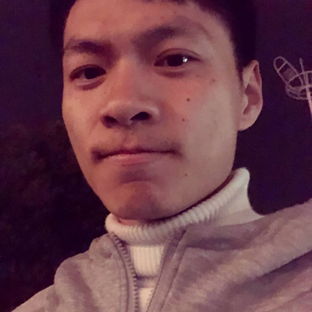 向日葵丰富的照片