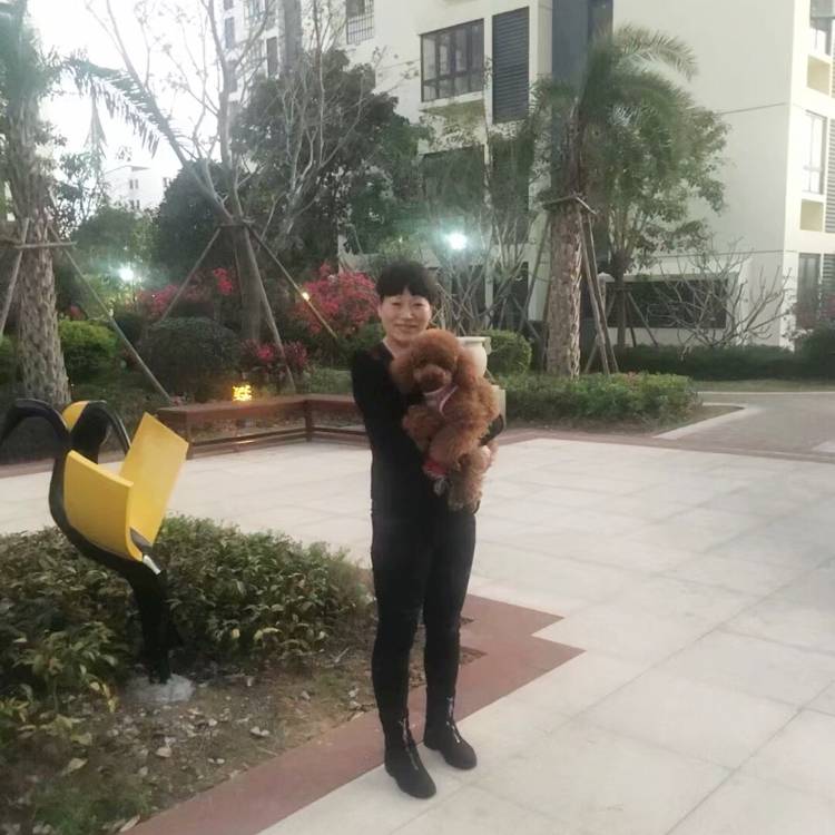 义气放弃小蘑的照片