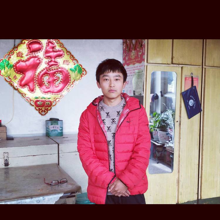 巨人阳光的照片