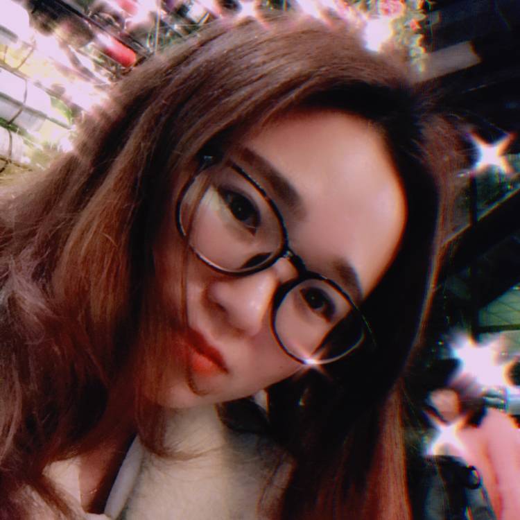 小海豚向矮小的照片
