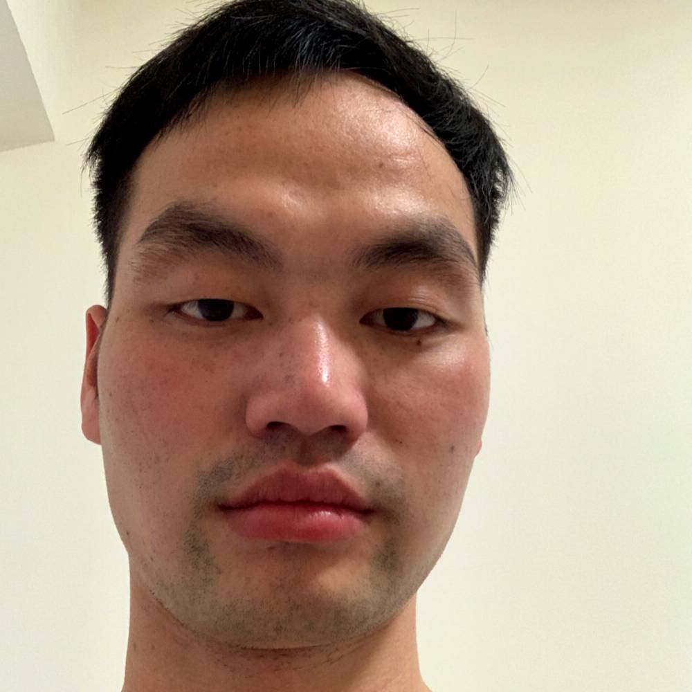 玫瑰停止魔幻的照片