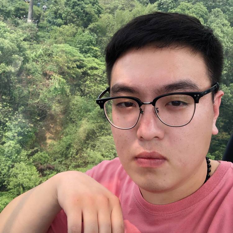 粗心团团的照片