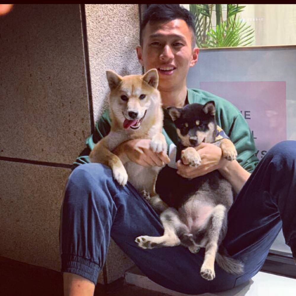 好运巴士的照片