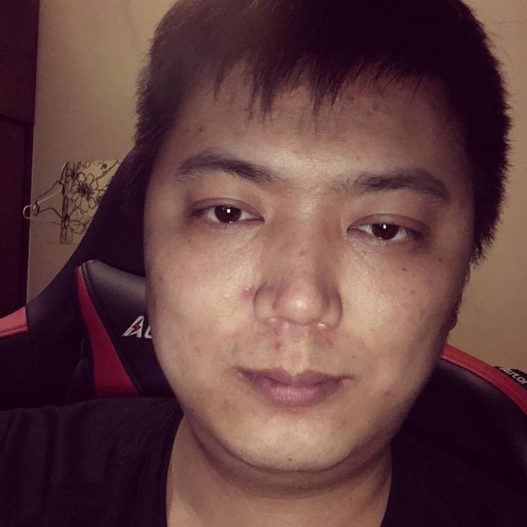 优雅和小松鼠的照片