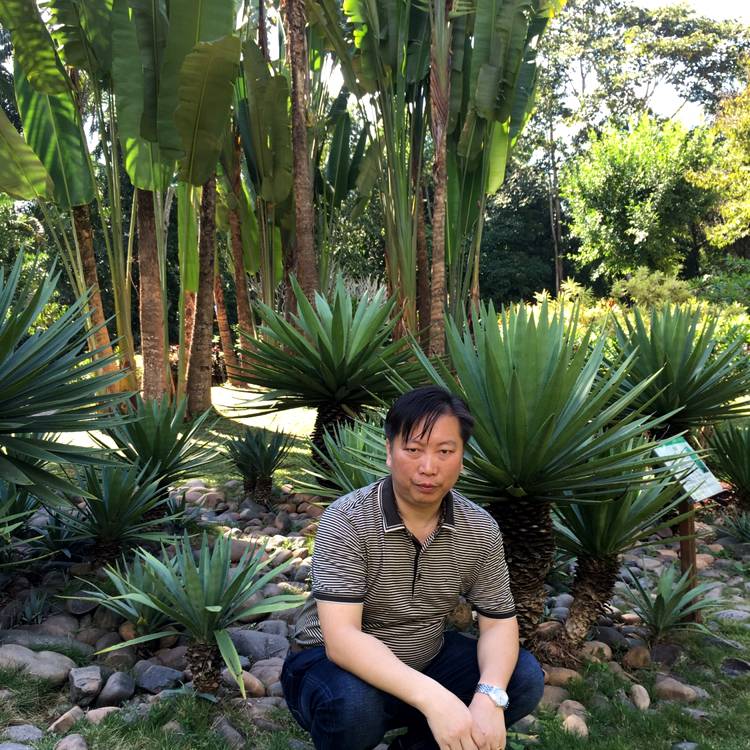 沧澜漫步火星上的照片