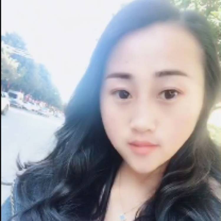 向日葵有魅力66的照片