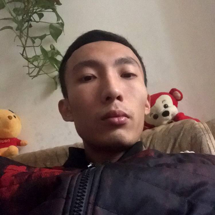 绵密苦恋枫叶的照片