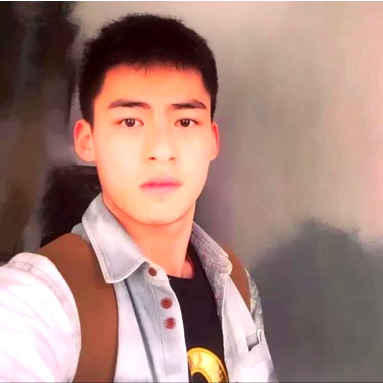 清晨阳光普照的照片
