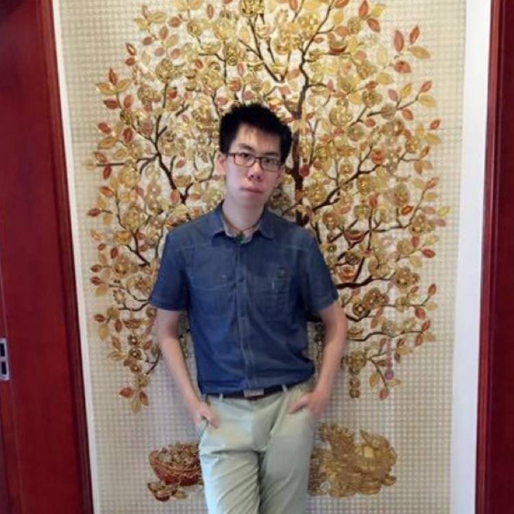 奇迹方舟的照片