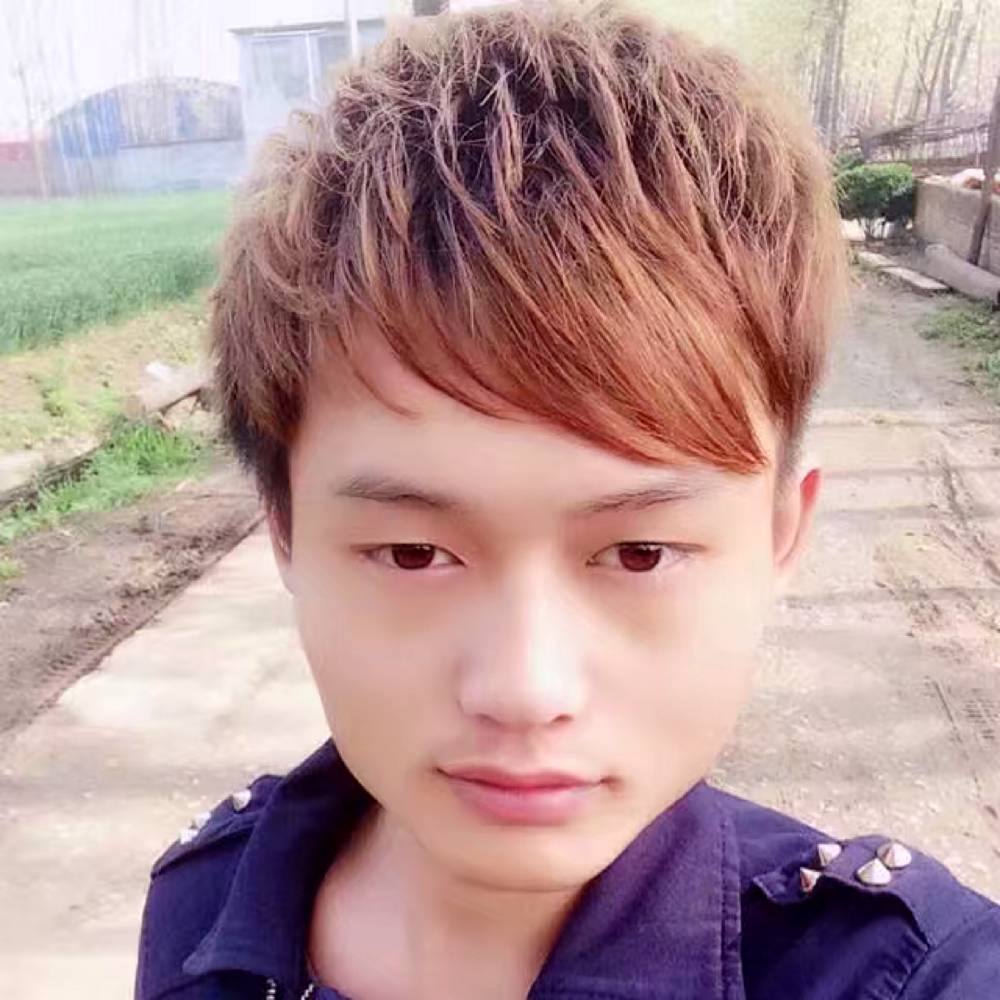 情从何处寻的照片