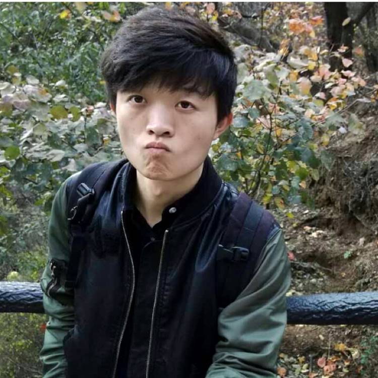 扇子s的照片