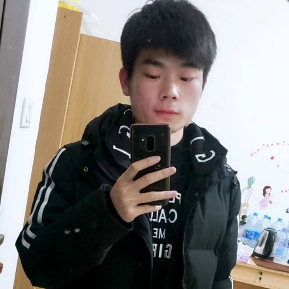 蜜蜂不解密的照片