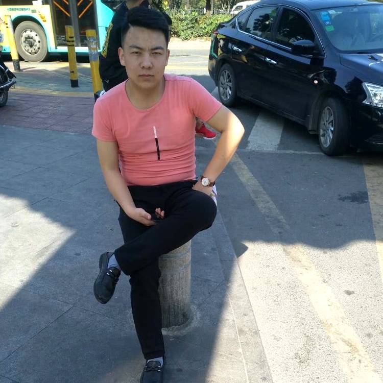 树叶义气的照片