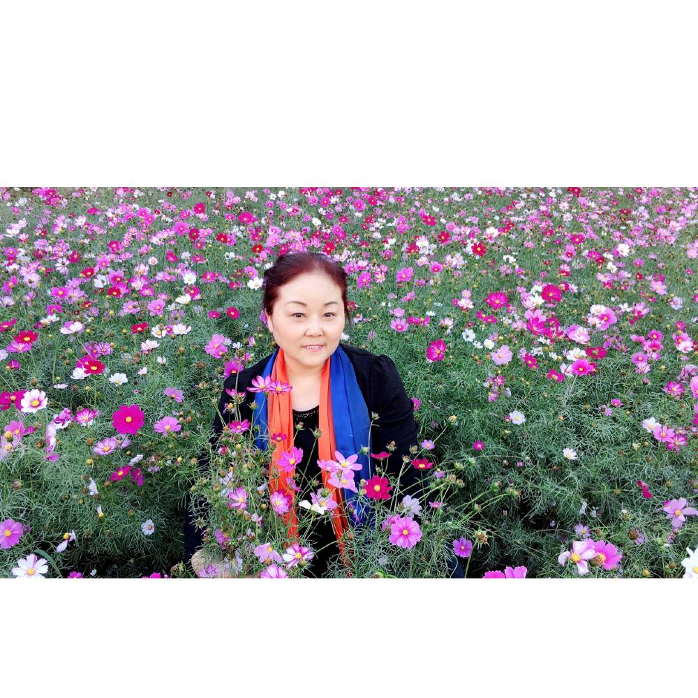 季节温柔的照片