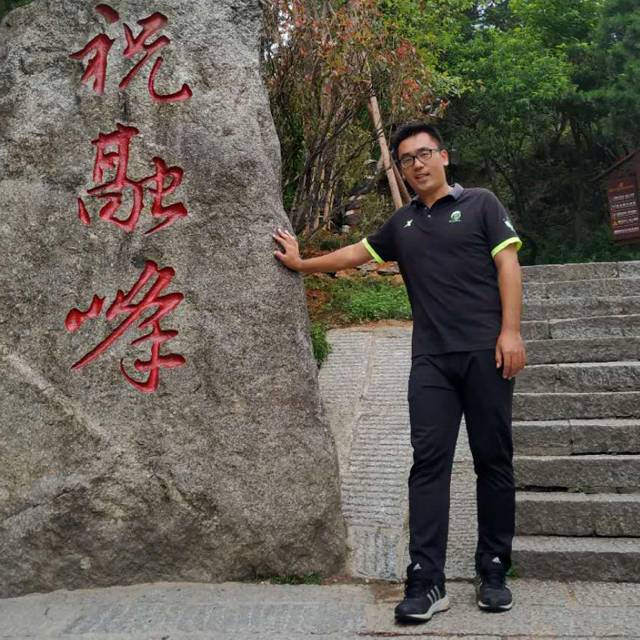 黄蜂无私的照片