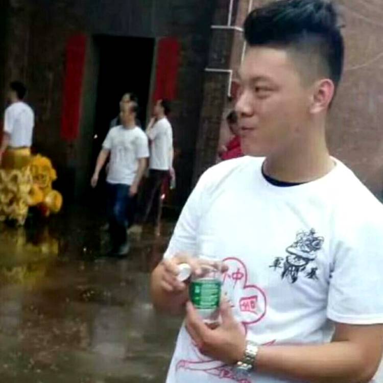 绿草稳重的照片
