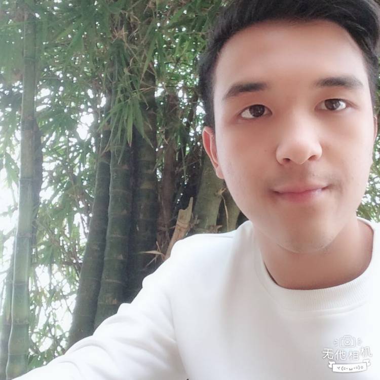 笑点低泪了诺言的照片
