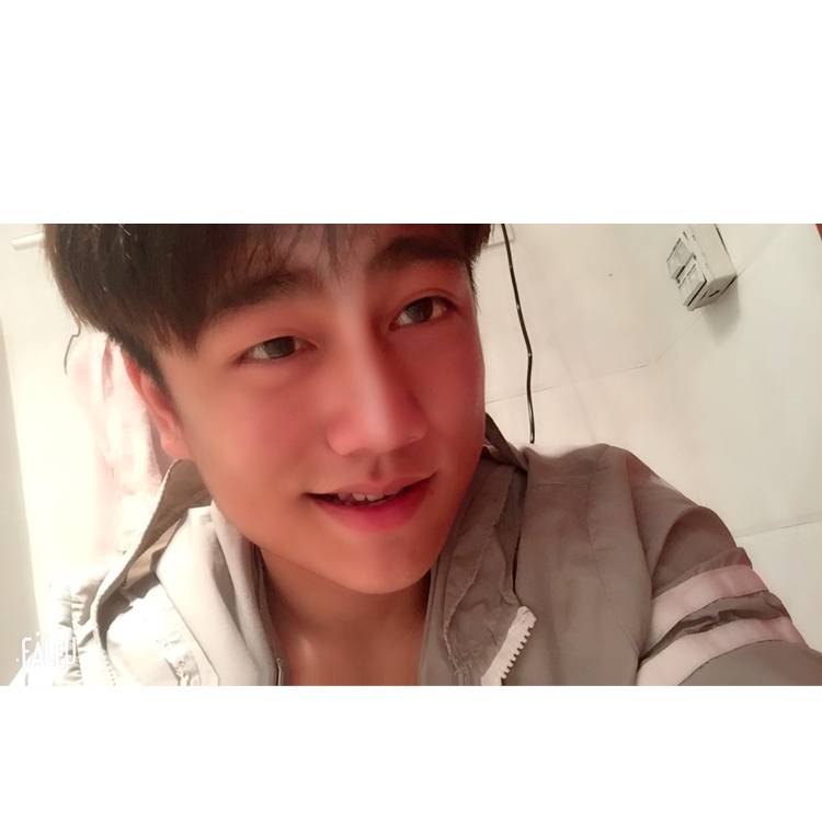 犀牛向犹豫的照片