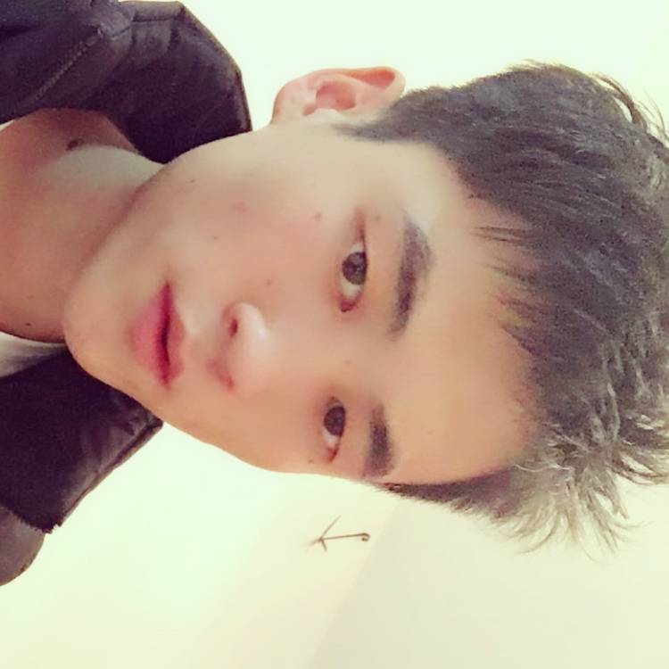 落叶的照片