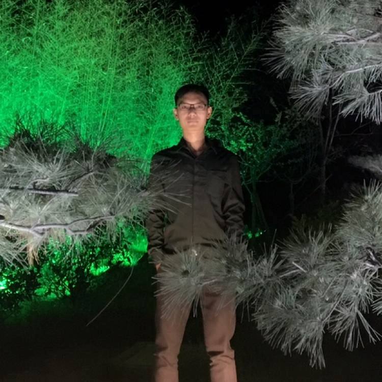 飞机用幻灭的照片