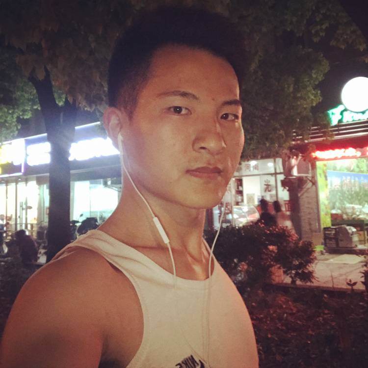 灰狼超帅的照片