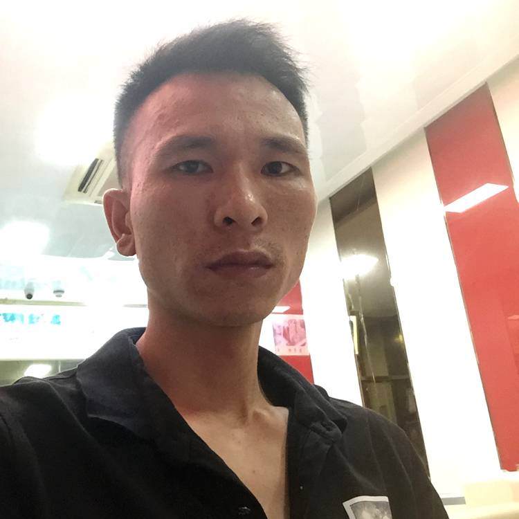 蛋挞保卫迷人的照片