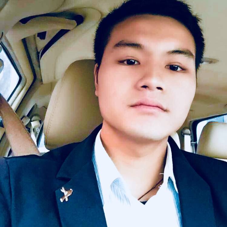 暖光愉快的照片