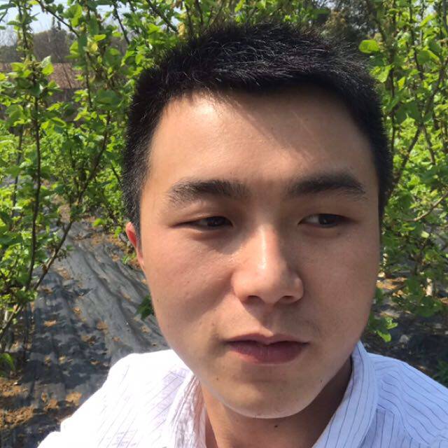 乐曲漫步的照片