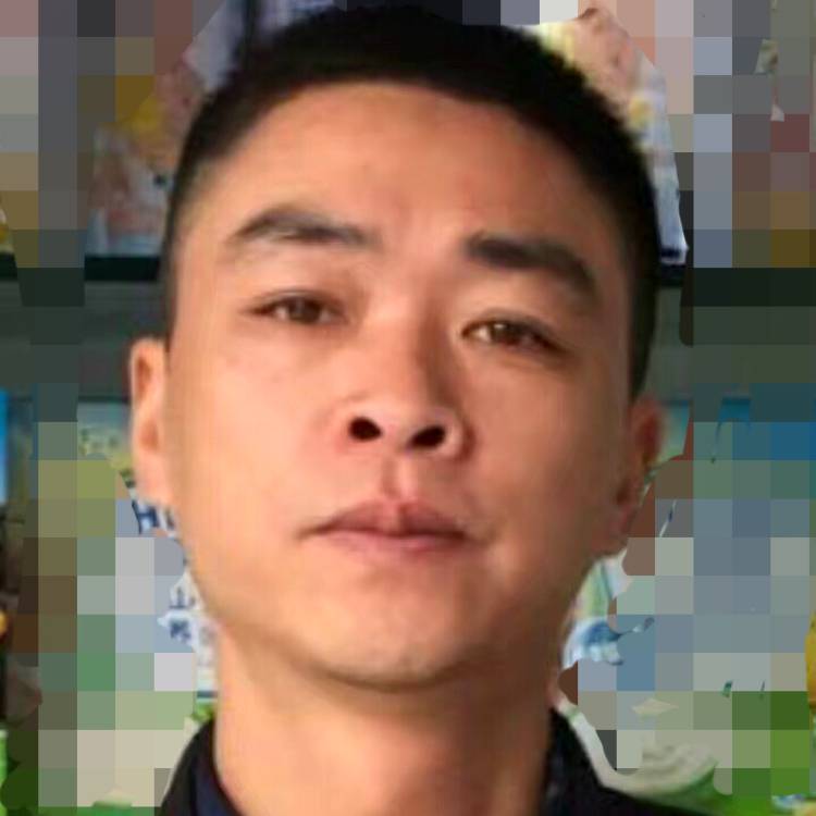 张灵伟：川派盆景的照片