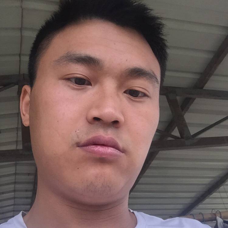 小蝴蝶泪了安静的照片