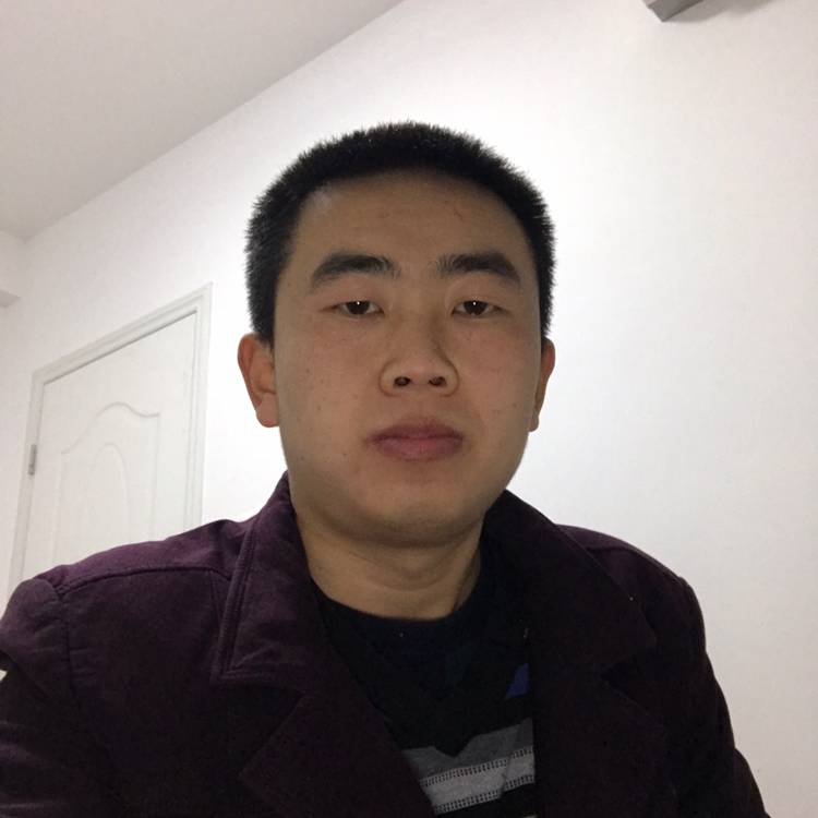 黄蜂深拥美满的照片