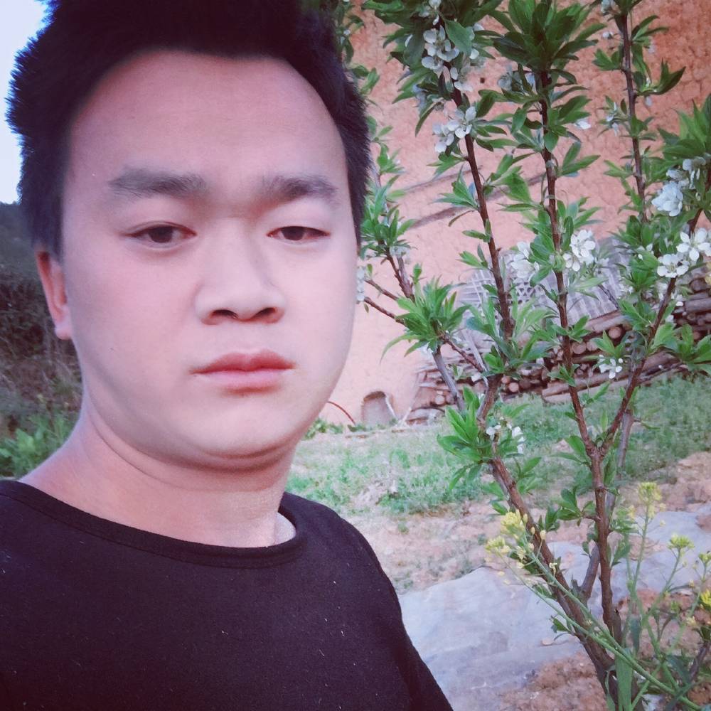 雄霸天下111的照片
