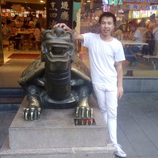 向日葵单身的照片
