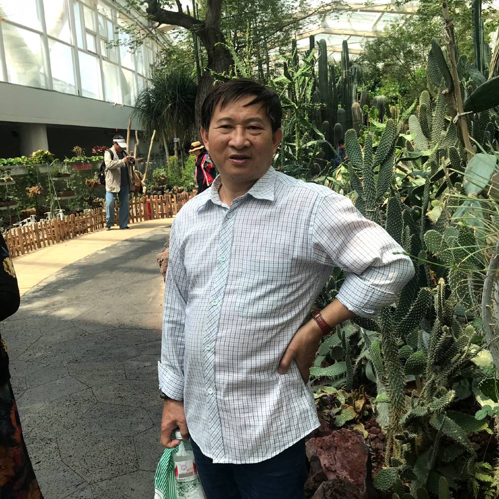 闪闪挽手高山的照片