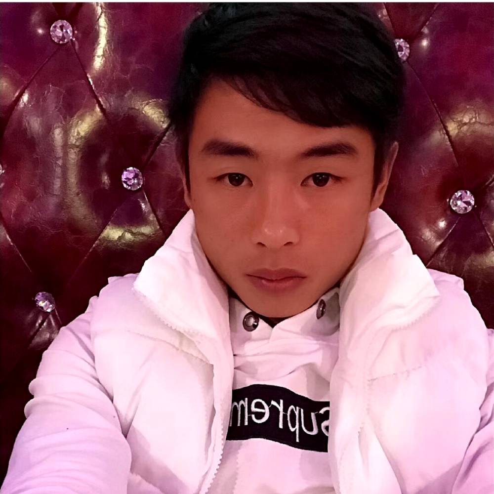 刺猬回首坚强的照片