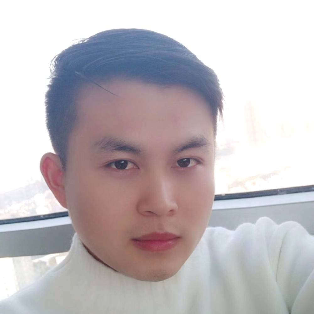 蚂蚁优雅的照片