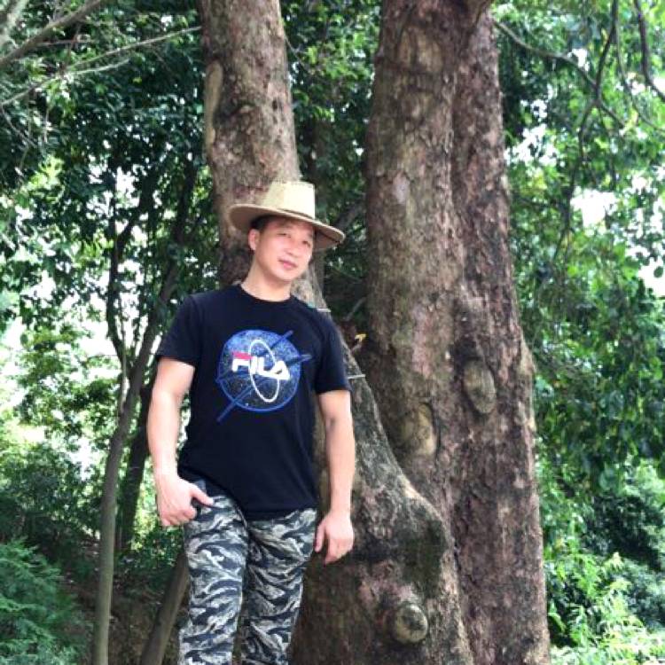 优美回首回忆的照片