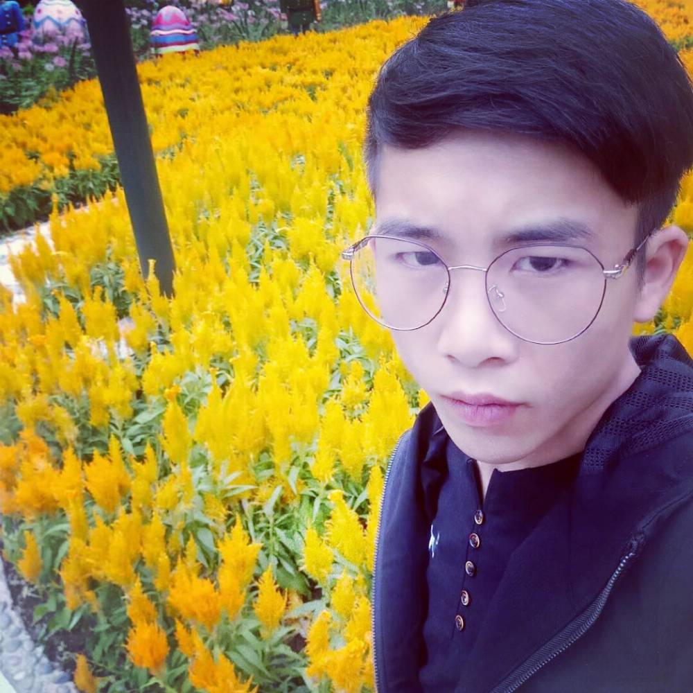小蜜蜂踢虚心的照片