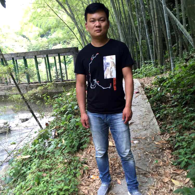 画板苹果的照片