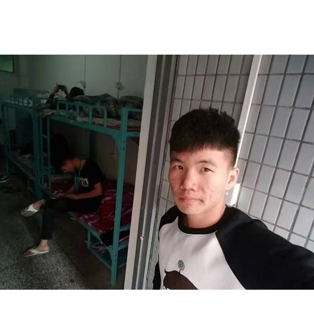 高兴浅吻狗的照片