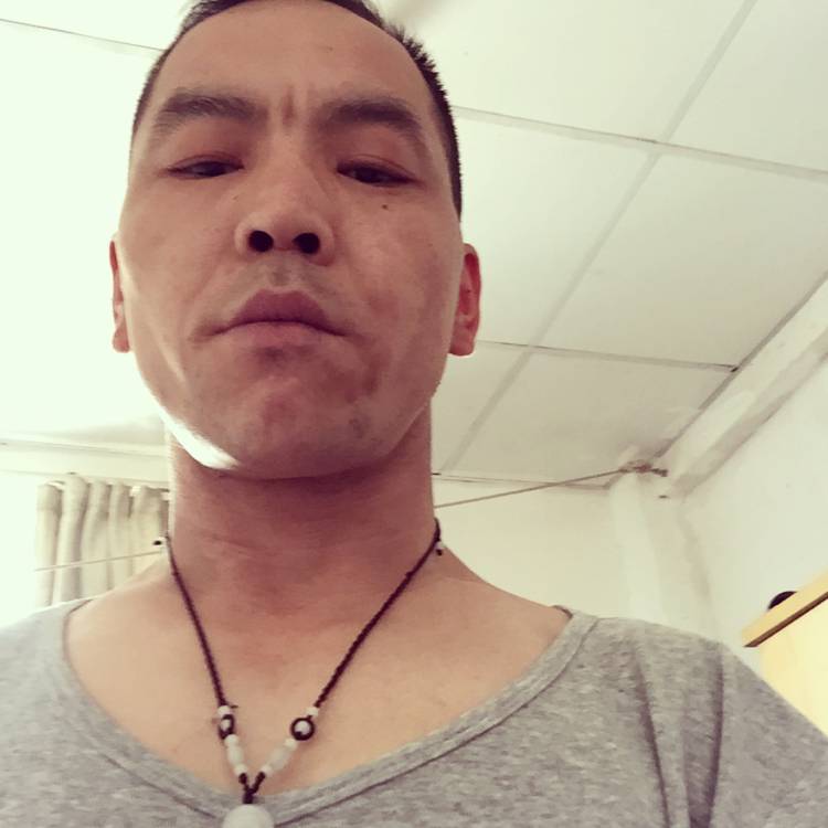 莲花雨的照片
