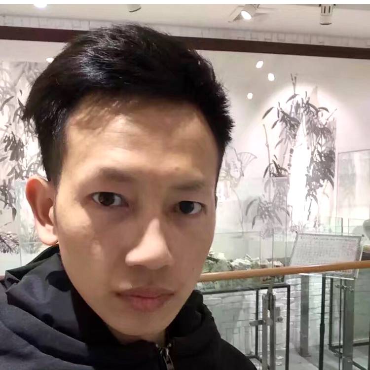 板栗停止坚强的照片