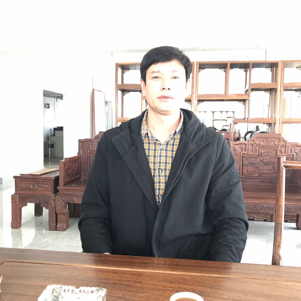 绝影就坚定的照片