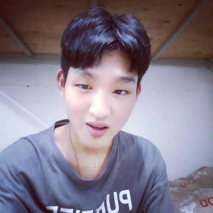 灰狼轻松的照片
