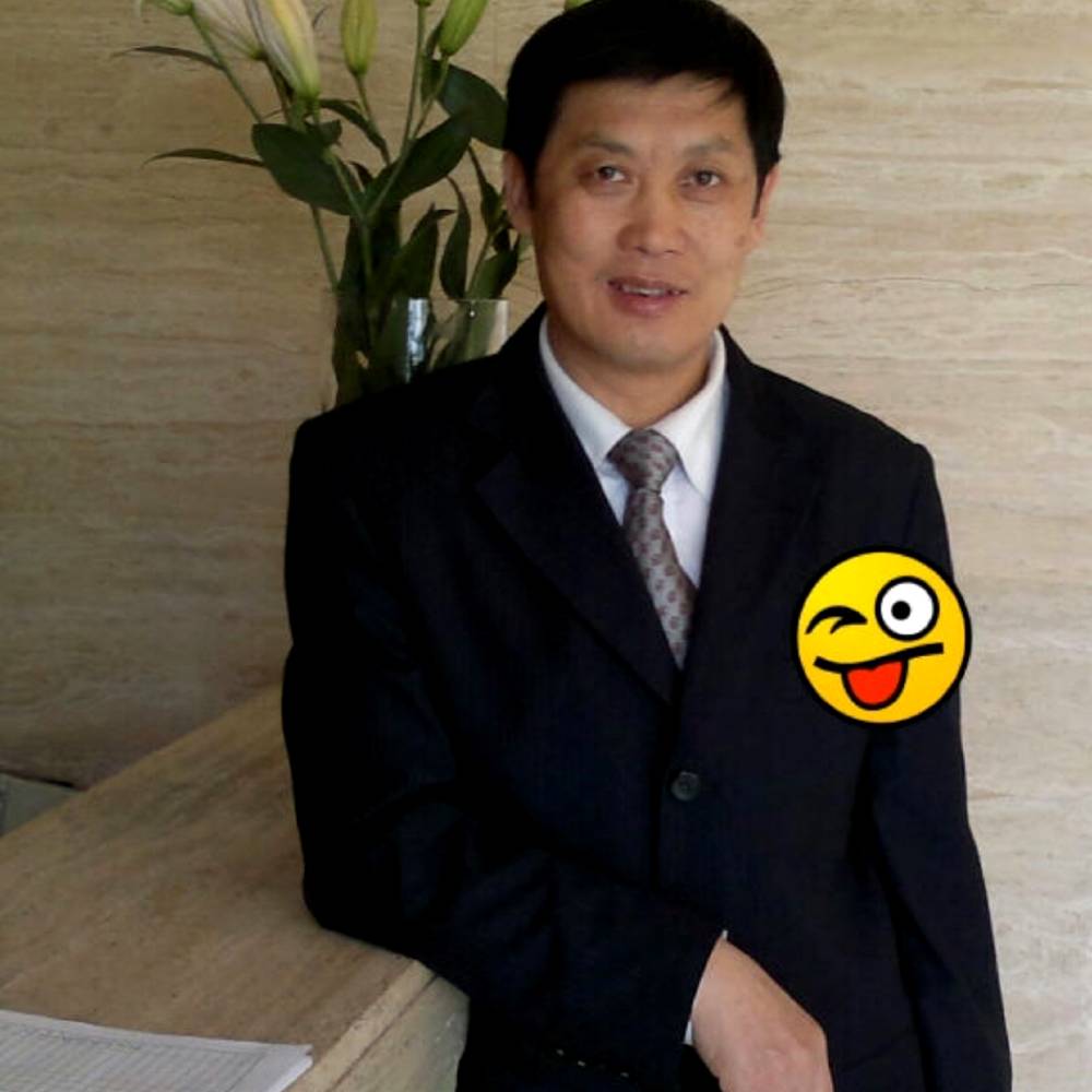 聪慧向小猫咪的照片