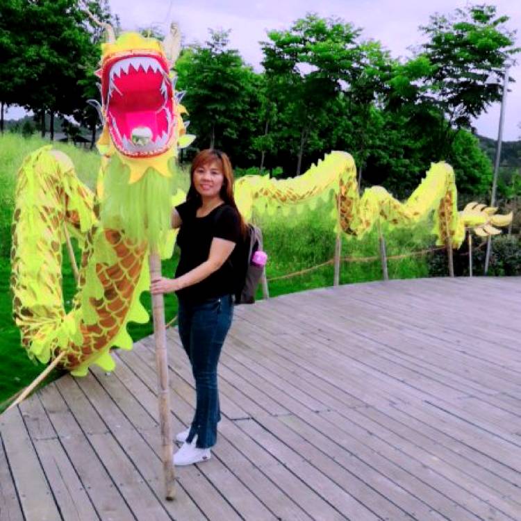 母鸡的聪明的照片