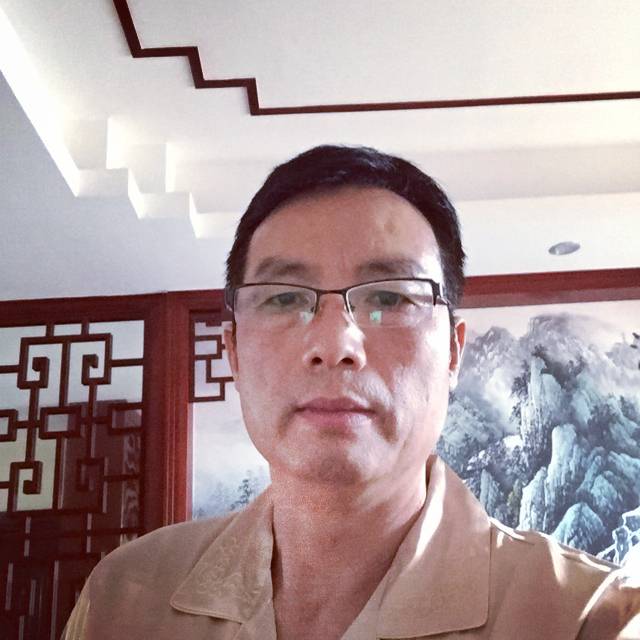 大象独寂的照片