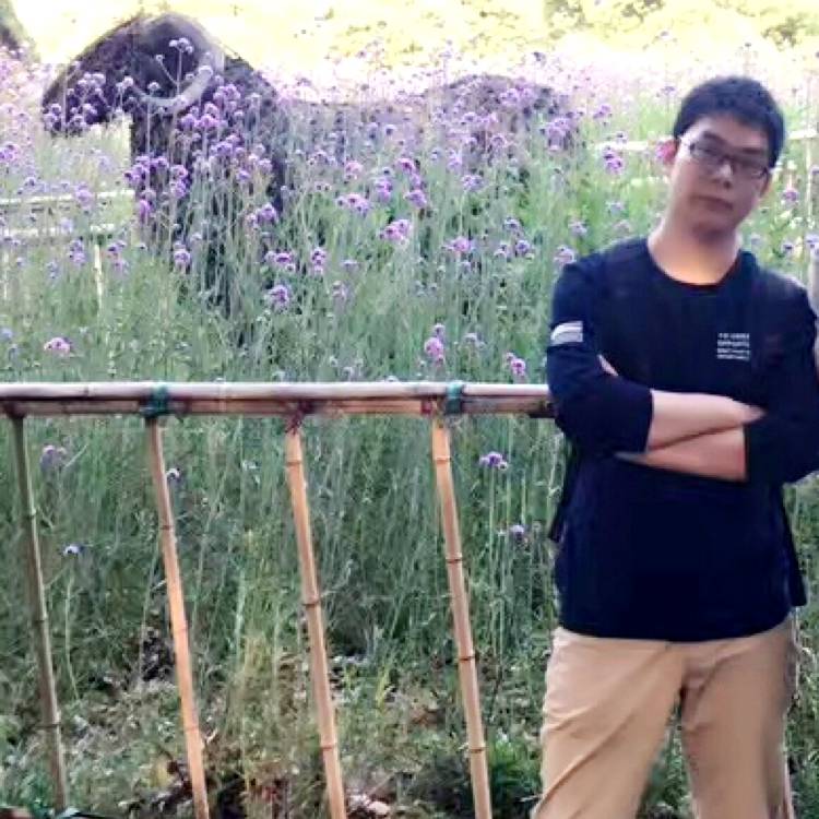 拱白菜的的照片