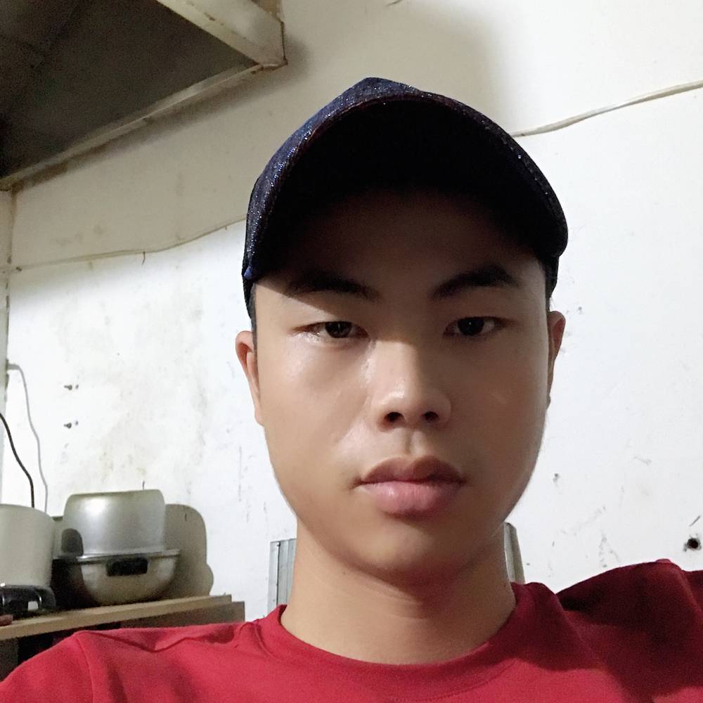 大意与含羞草的照片
