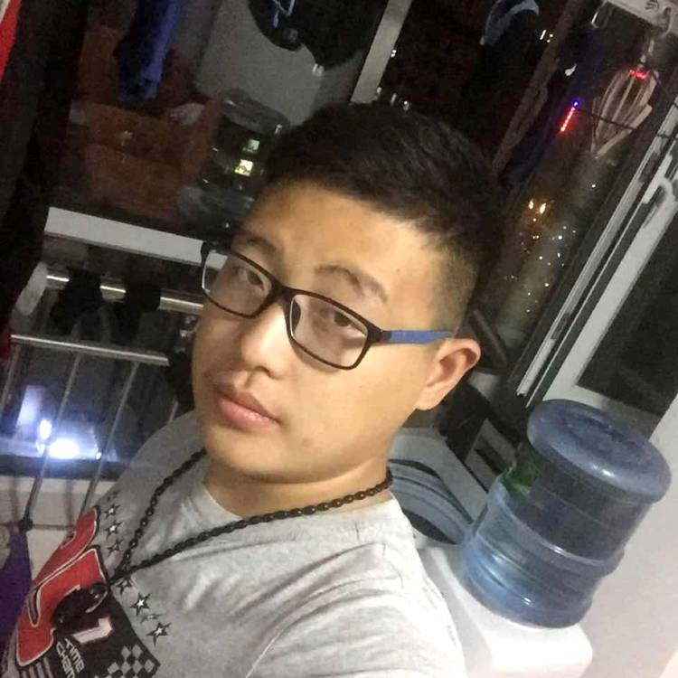 战斗机魁梧的照片